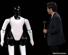 人形机械人第一梯队黑马特斯拉主要供应业绩增